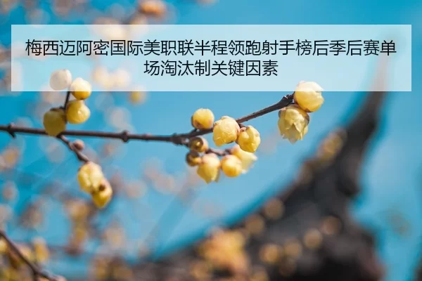 mei-xi-mai-a-mi-guo-ji-mei-zhi-lian-ban-cheng-ling-pao-she-shou-bang-hou-ji-hou-sai-dan-chang-tao-tai-zhi-guan-jian-yin-2-593.jpg