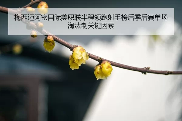 mei-xi-mai-a-mi-guo-ji-mei-zhi-lian-ban-cheng-ling-pao-she-shou-bang-hou-ji-hou-sai-dan-chang-tao-tai-zhi-guan-jian-yin-3-464.jpg